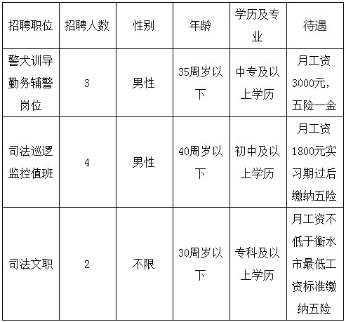 招聘职位